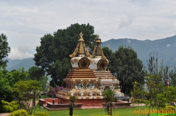 Hanhhuong_Bhutan_2013 (244).jpg