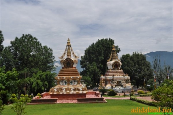 Hanhhuong_Bhutan_2013 (246).jpg