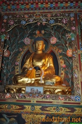 Hanhhuong_Bhutan_2013 (267).jpg