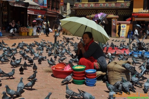 Hanhhuong_Bhutan_2013 (270).jpg