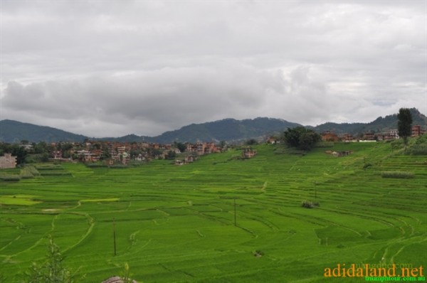 Hanhhuong_Bhutan_2013 (280).jpg