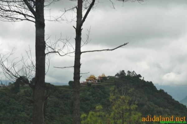 Hanhhuong_Bhutan_2013 (287).jpg