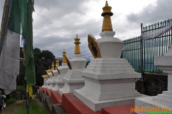 Hanhhuong_Bhutan_2013 (293).jpg