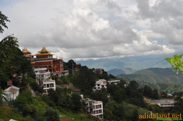 Hanhhuong_Bhutan_2013 (296).jpg