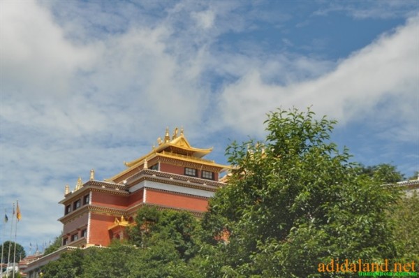 Hanhhuong_Bhutan_2013 (31).jpg