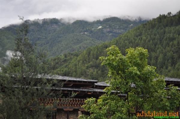 Hanhhuong_Bhutan_2013 (335).jpg