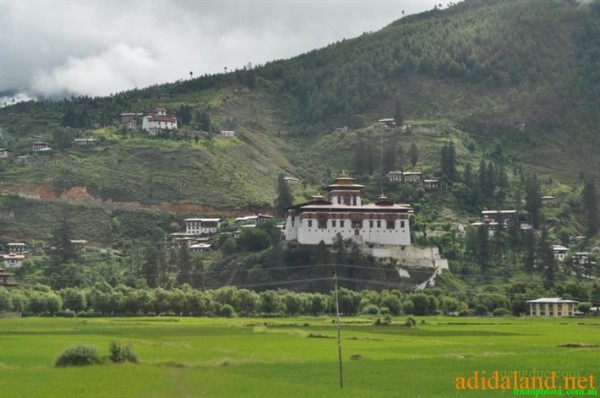 Hanhhuong_Bhutan_2013 (355).jpg
