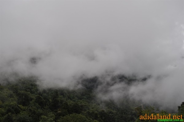 Hanhhuong_Bhutan_2013 (378).jpg