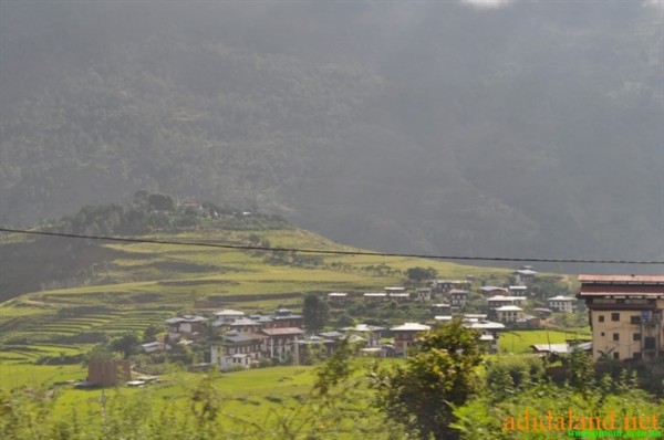 Hanhhuong_Bhutan_2013 (425).jpg
