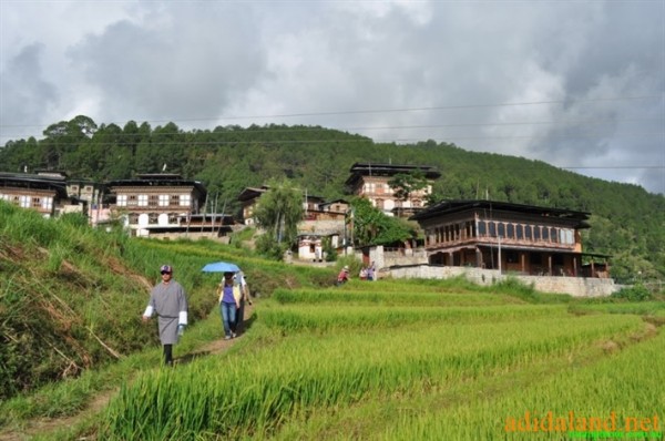 Hanhhuong_Bhutan_2013 (430).jpg