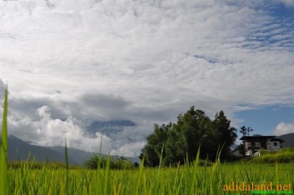 Hanhhuong_Bhutan_2013 (436).jpg