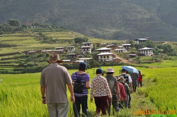 Hanhhuong_Bhutan_2013 (437).jpg