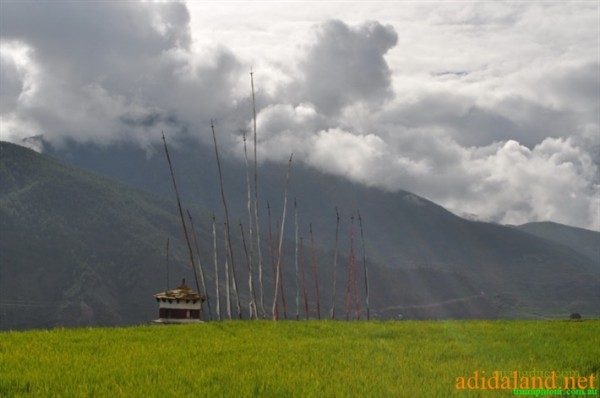 Hanhhuong_Bhutan_2013 (439).jpg