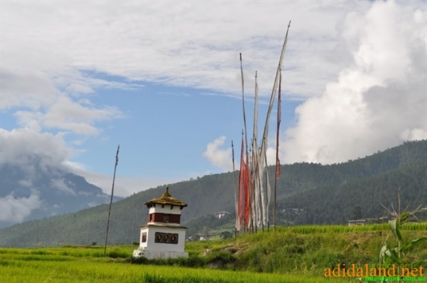 Hanhhuong_Bhutan_2013 (441).jpg