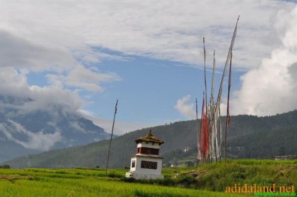 Hanhhuong_Bhutan_2013 (442).jpg