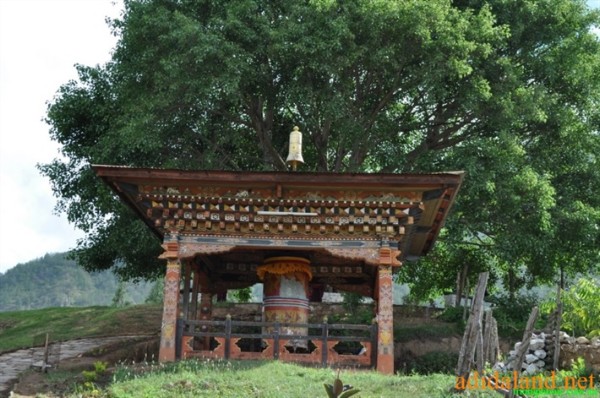 Hanhhuong_Bhutan_2013 (447).jpg