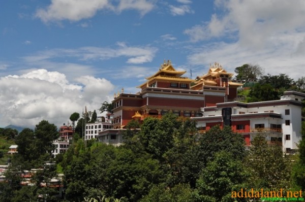 Hanhhuong_Bhutan_2013 (51).jpg