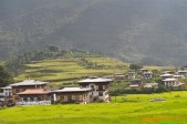 Hanhhuong_Bhutan_2013 (433).jpg