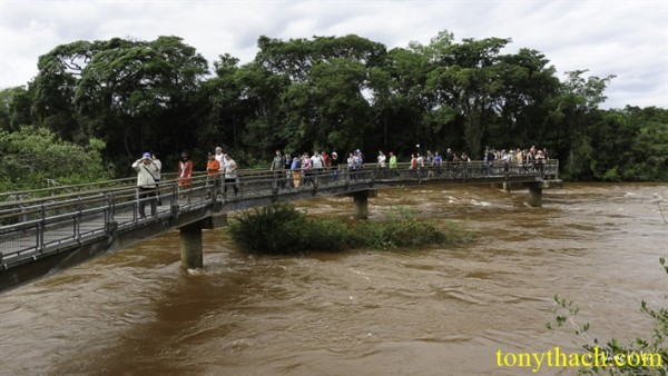 01.Iguazu (109).jpg