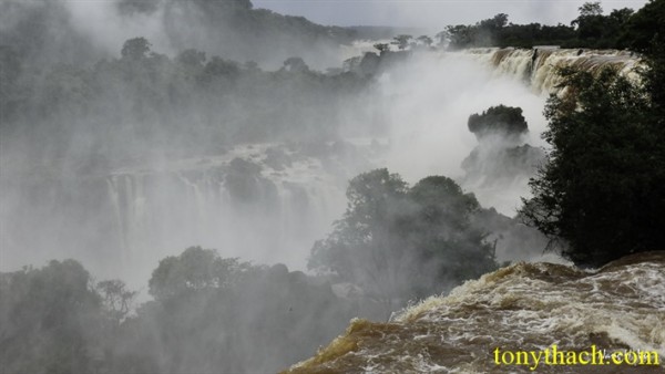 01.Iguazu (136).jpg