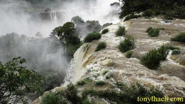 01.Iguazu (141).jpg