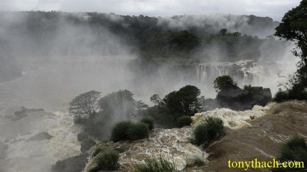 01.Iguazu (146).jpg