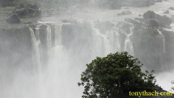 01.Iguazu (148).jpg