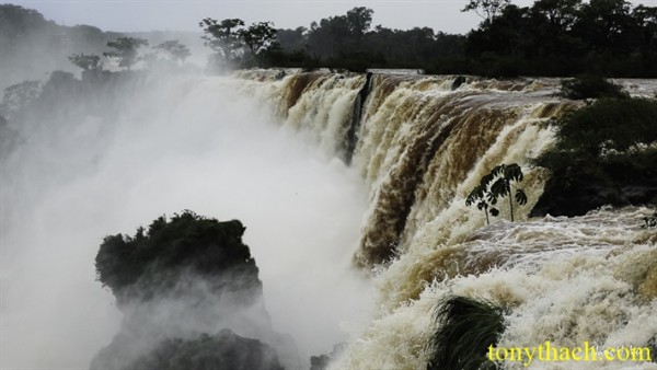 01.Iguazu (154).jpg