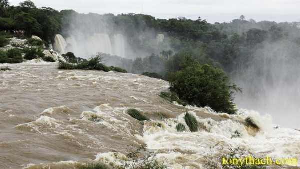 01.Iguazu (164).jpg