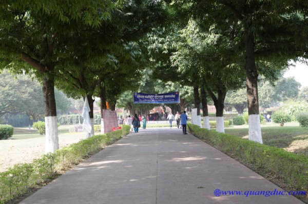 day 6_Linh Thuu Son (123).jpg