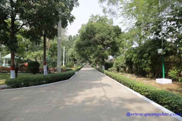day 6_Linh Thuu Son (196).jpg