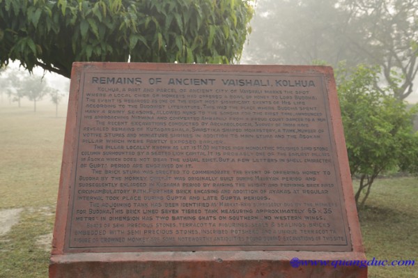 Day 7_Cau Thi Na (156).jpg