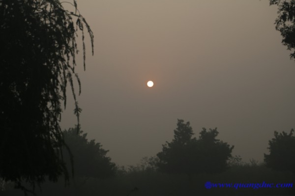 Day 7_Cau Thi Na (60).jpg
