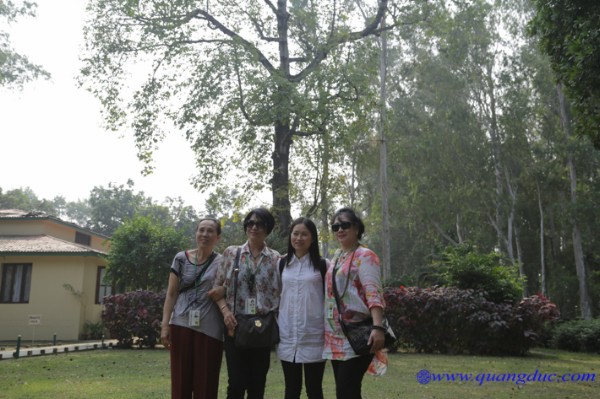 Day 10_Ca Ty La Ve_India (100).jpg