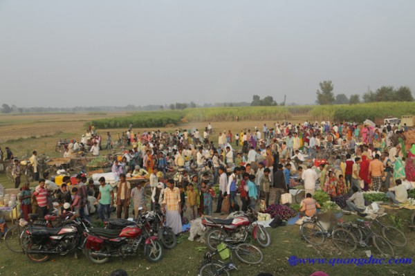 Day 10_Ca Ty La Ve_India (106).jpg