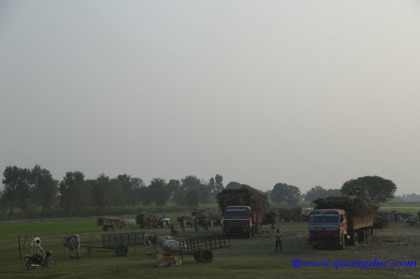 Day 10_Ca Ty La Ve_India (108).jpg