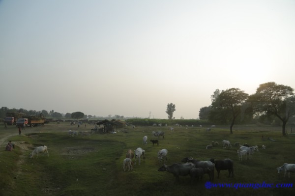 Day 10_Ca Ty La Ve_India (109).jpg