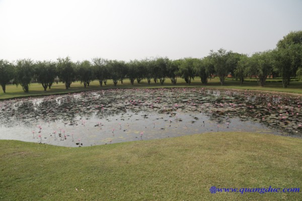 Day 10_Ca Ty La Ve_India (58).jpg