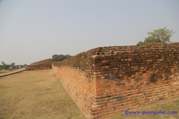 Day 10_Ca Ty La Ve_India (70).jpg