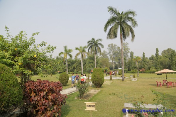 Day 10_Ca Ty La Ve_India (82).jpg