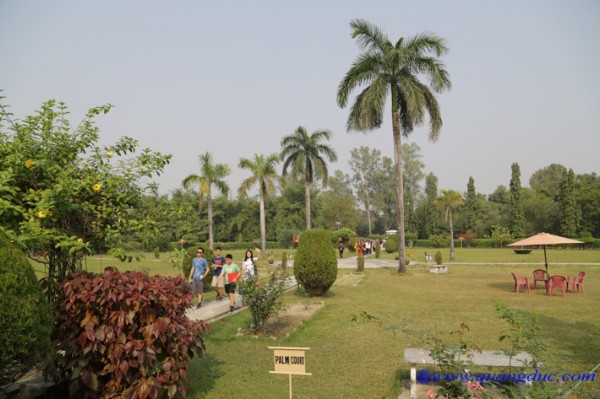Day 10_Ca Ty La Ve_India (83).jpg