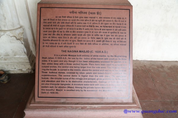 day12-hanh-huong-an-do-184.jpg