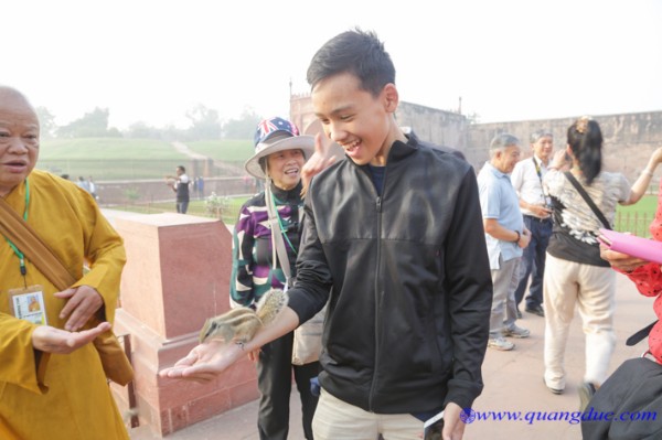 day12-hanh-huong-an-do-53.jpg
