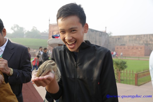day12-hanh-huong-an-do-58.jpg