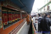 day15-tham Truong Khuyet Tat Tay Tang_Dharamsala (144).jpg
