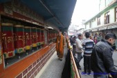 day15-tham Truong Khuyet Tat Tay Tang_Dharamsala (145).jpg